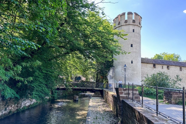 Frühlingspfad am St. Alban-Teich in voller Blüte