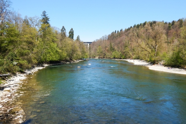 Am Ufer der naturbelassenen Reuss
