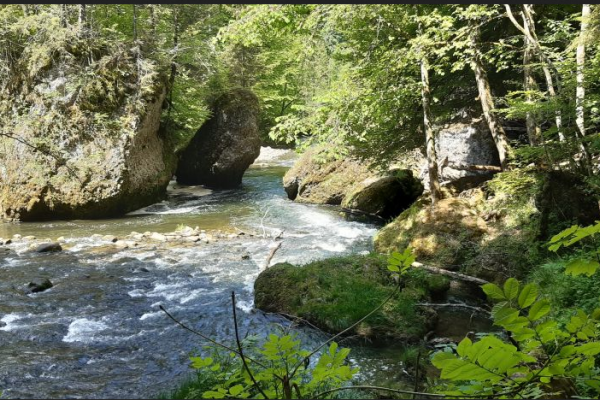 Rundwanderung Sihlbrugg