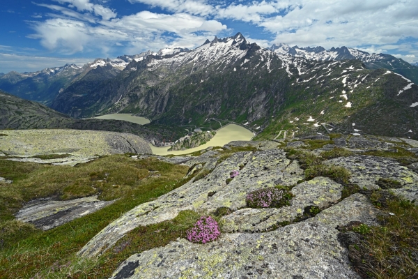 Aussichtsreich zum Oberaarsee