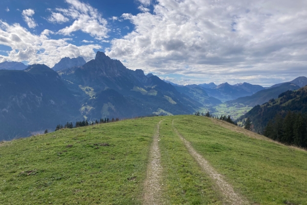 Höhenwanderung im Saanenland