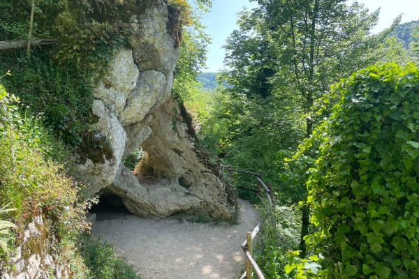 «Chriesibluescht» nahe des Gempen