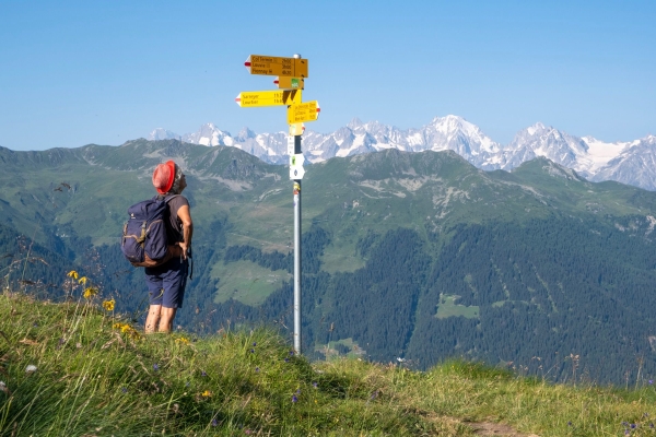 Im Antlitz des Grand Combin