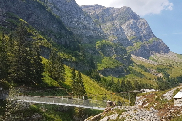 R18: Champéry - Grd-Paradis - Signal de Bonaveau - Roc Coupé - Champéry