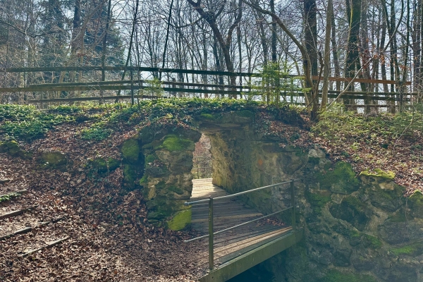 Zürich Wander-Opening 2026 (MIT Anmeldung)