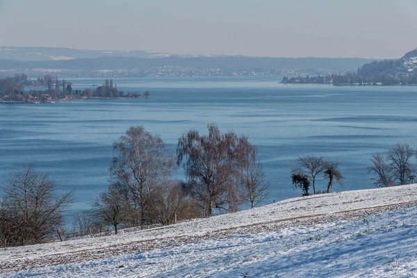 Ausblick auf den Untersee