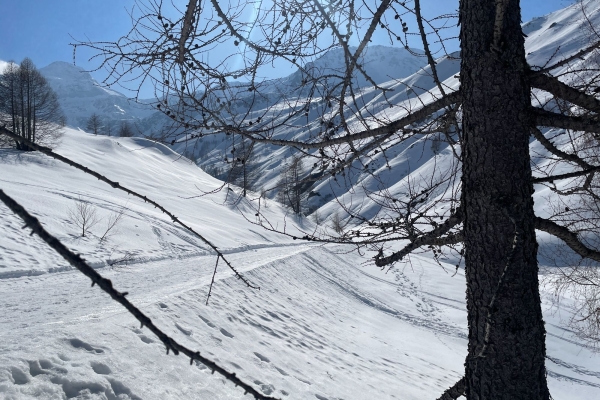 Kurzwanderung auf dem Simplonpass