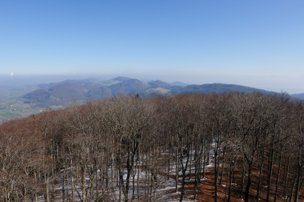 Zu den Türmen am Baselbieter Wiseberg