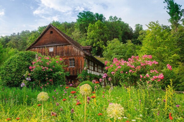 Zum Künstler Wilhelm Lehmann in der Kobesenmühle