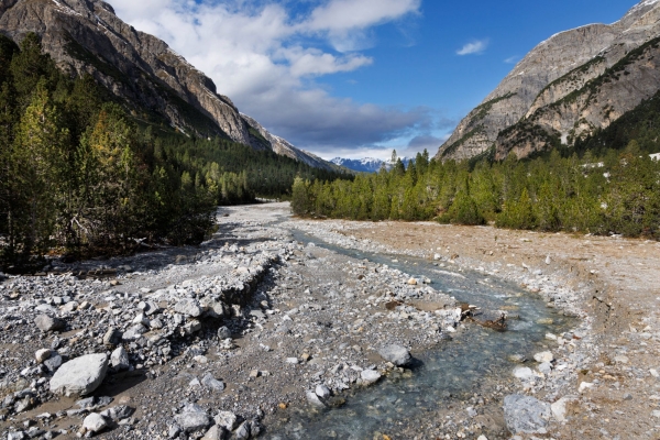 Zur Hirschbrunft ins Val Mingèr