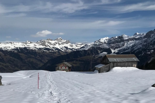 Schneeschuhwanderung auf dem Brüsti - Sternenhimmel und Fonduegenuss