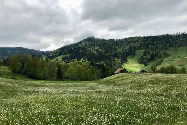 Sur les hauts du lac d’Ägeri