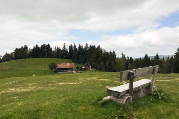 Vom Ägerisee hinauf zu den Hochmooren