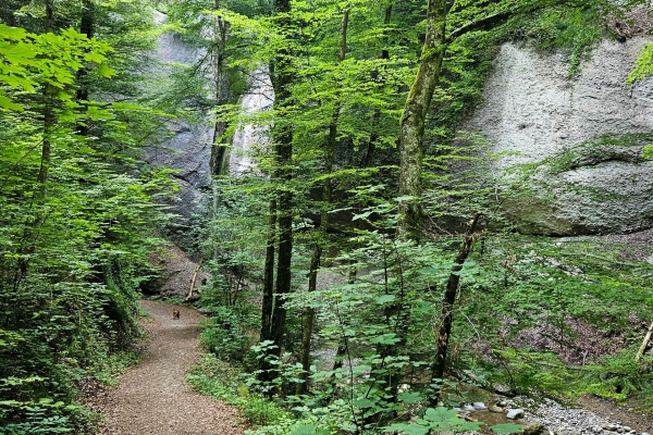 Durch die kühle Cholereschlucht