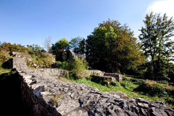 Ruine Frohburg (***/T1)