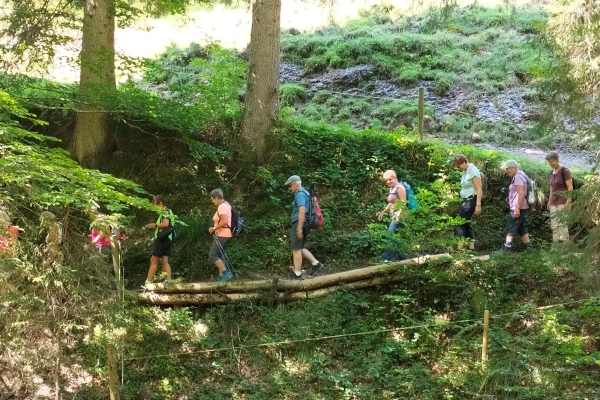 Halbtageswanderung in der Region Wil (Toggenburg-Fürstenland-Hinterthurgau)
