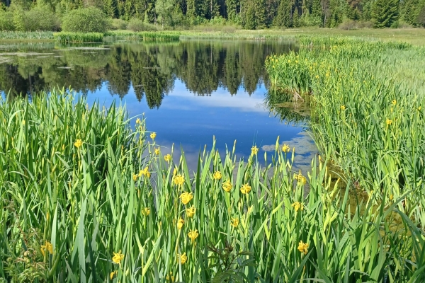Panoramawanderung und Naturperle