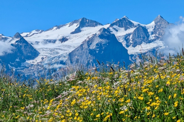 Grosses Panorama auf dem Gibel