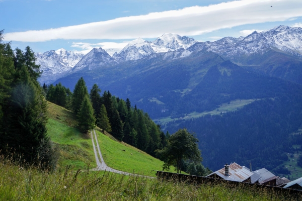 A la rencontre du Verbier sauvage
