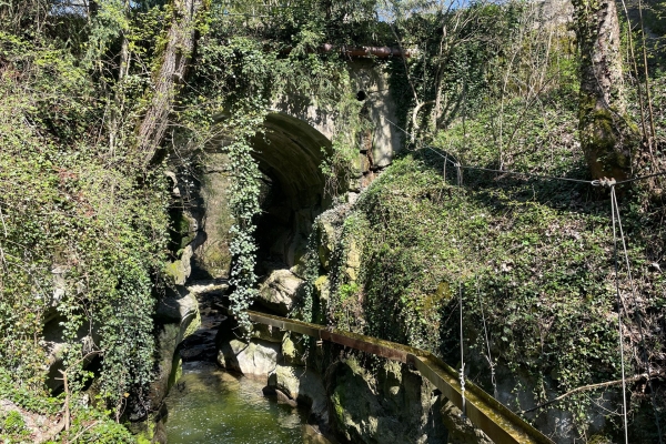 Rund um Neuenburg in die Natur eintauchen