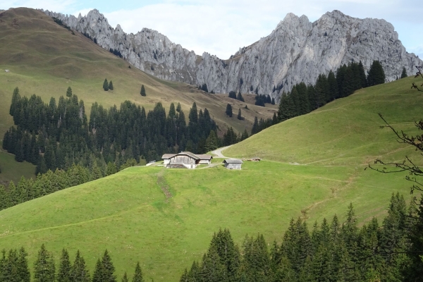 Höhenwanderung im Saanenland