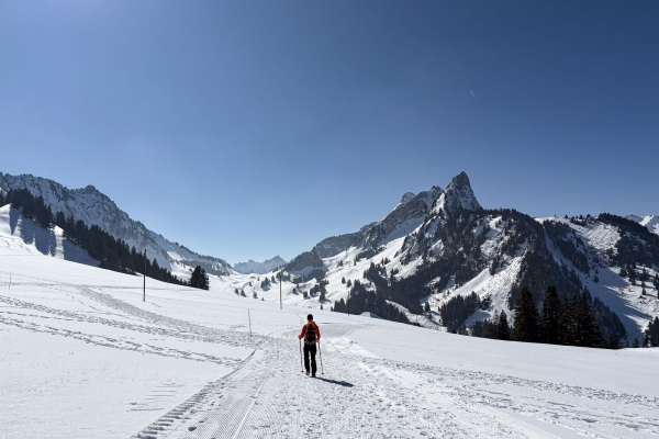 Kurze Rundtour für Sonnenhungrige