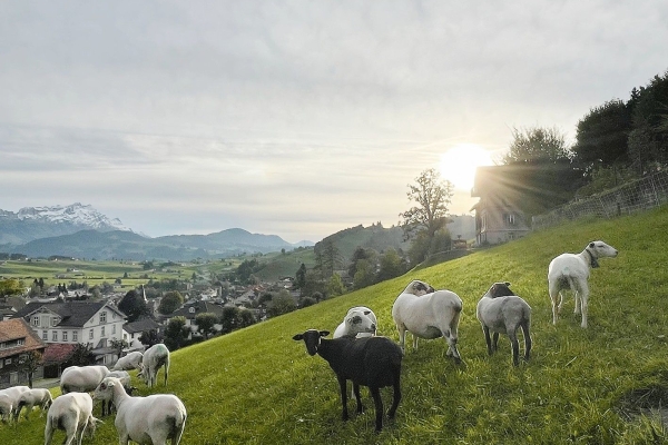 Schlusswanderung zu unseren Kollektivmitgliedern