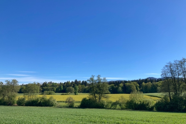 Die Drumlinlandschaft im Zürcher Oberland