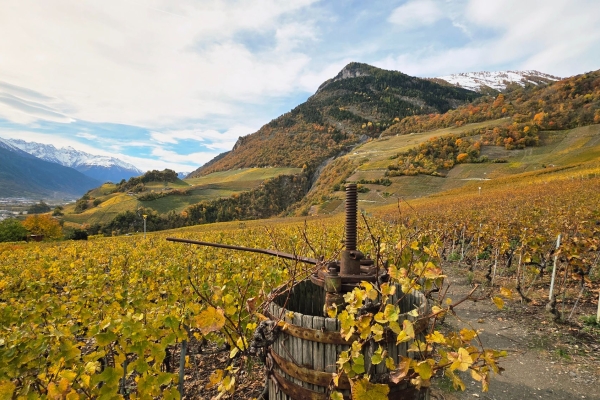 Farinet ou l’or dans la montagne