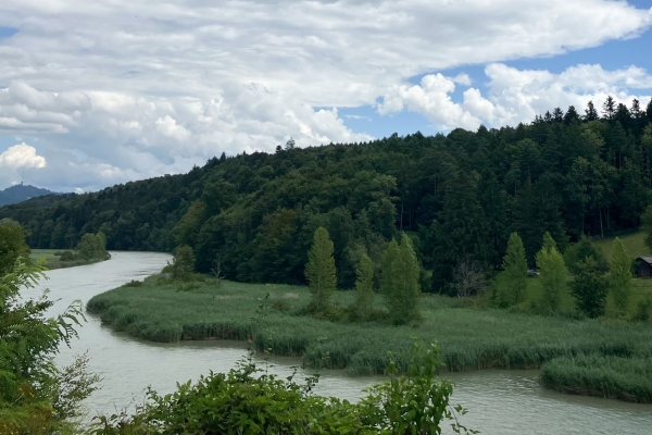 In der stadtnahen Natur an der Aare