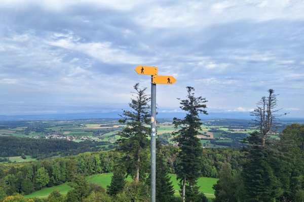 ZWISCHEN WIESEN, WALD UND URZEIT DURCH DIE AJOIE