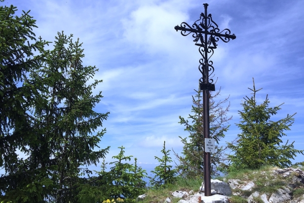 34. Über den Mont Bifé - Vanil des Cours