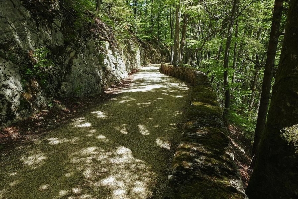 Tüfelsschlucht-Belchen-Weg