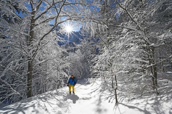 Glarner Gipfel zwischen Alpen und Voralpen
