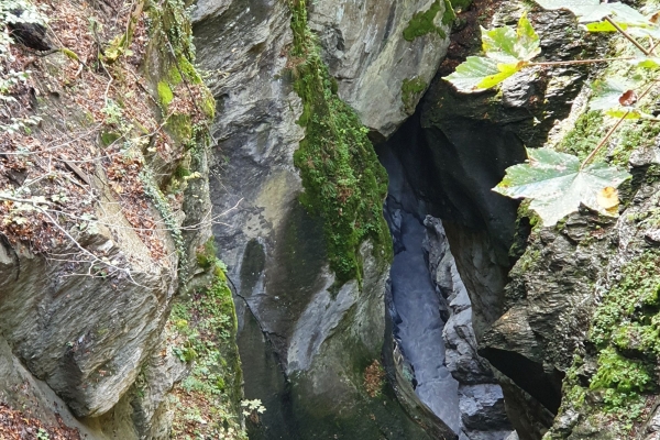 Halbtageswanderung Über die Naturbrücke in die Taminaschlucht
