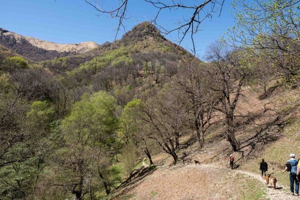 Durch Tessiner Dörfer und Kastanienwälder