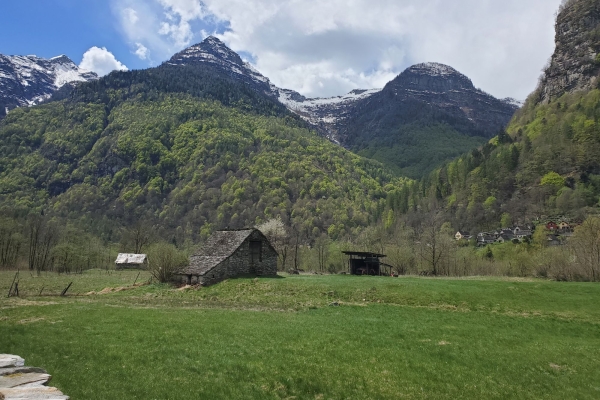 NUOVA DATA! Da Sonogno a Brione passeggiando lungo il fiume Verzasca