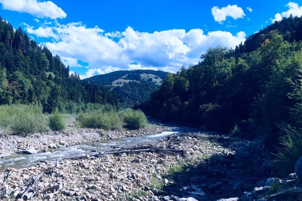 45. Wanderfest: Die Wilde