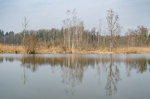 Von der Thur zum Husemersee