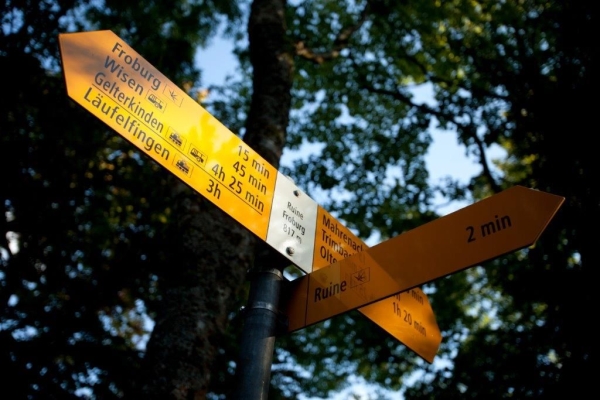 Ruine Frohburg (***/T1)