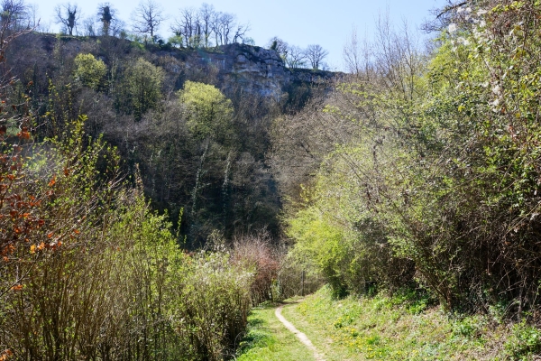 Idyllische Wildnis und Steinbruch bei La Sarraz