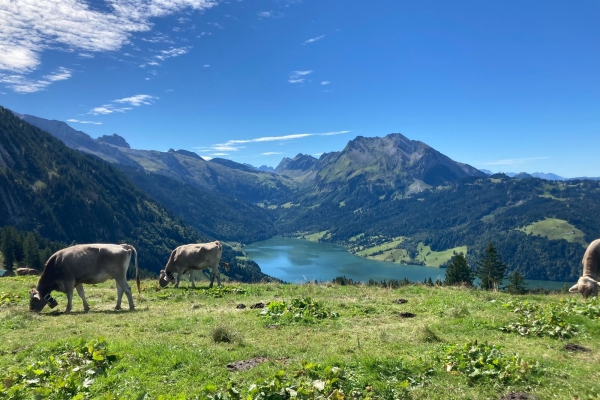Panoramaweg Salbügel nach Innerthal