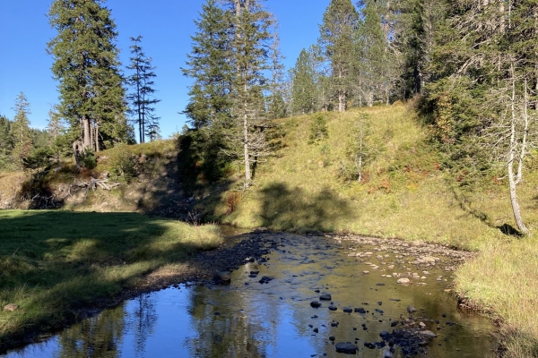 Dr grossä Schlierä naa obsi