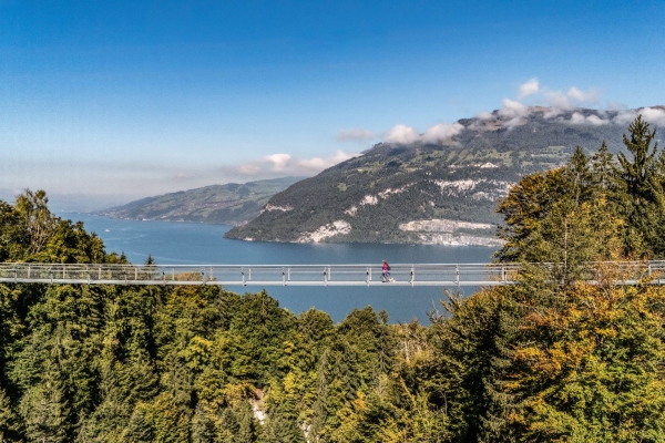 Hängebrücke Leissigen (***/T1)