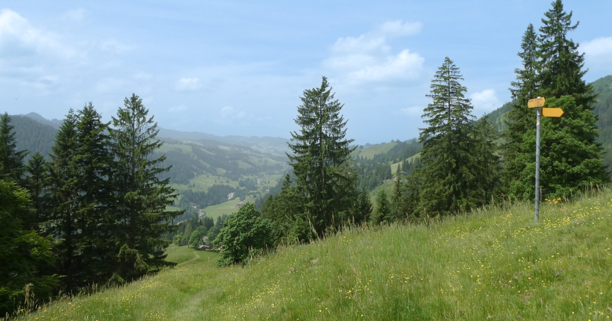 07937 Vogtlãƒândisches Oberland