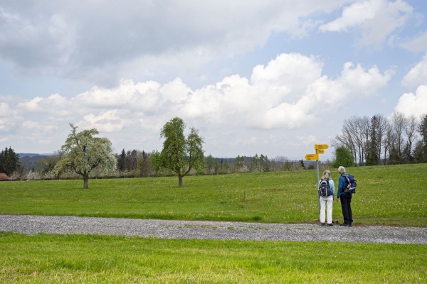 SWW_Spring_2021_5030292