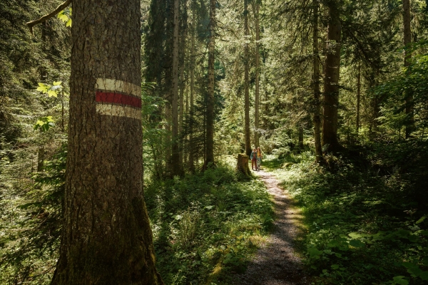 SWW_Spring_2024_1284