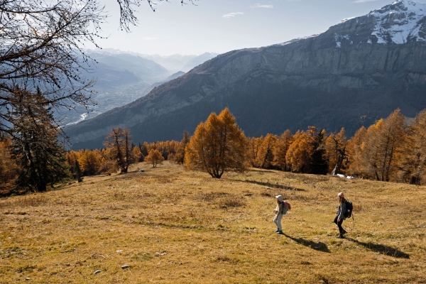 SWW_Fall_A310445
