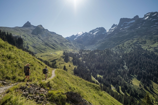 SWW_Summer_7192306