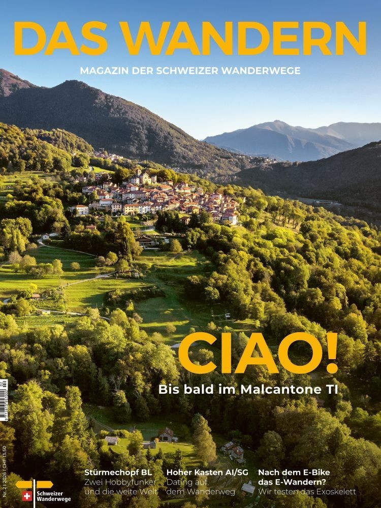 Cover_d